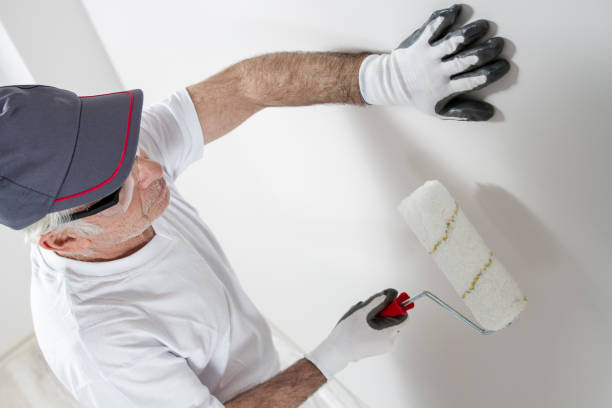 Best Drywall Removal and Disposal  in Osceola, IN