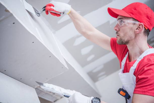 Best Fire-Damaged Drywall Repair  in Osceola, IN